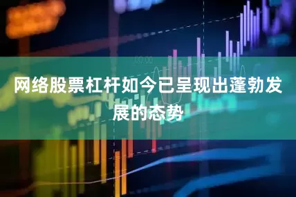 网络股票杠杆如今已呈现出蓬勃发展的态势