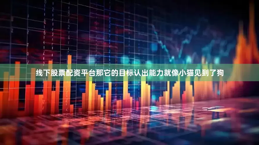 线下股票配资平台那它的目标认出能力就像小猫见到了狗