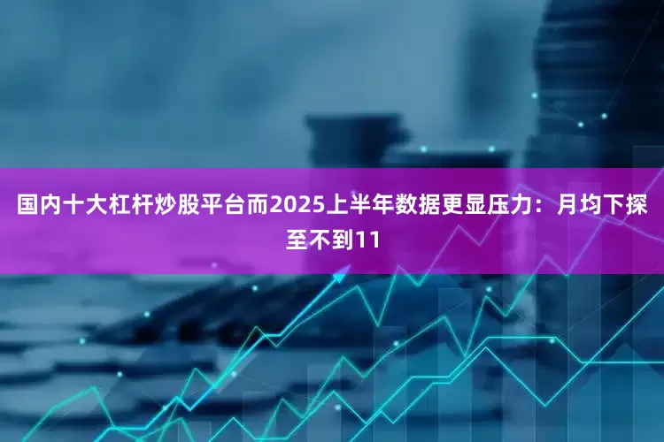 国内十大杠杆炒股平台而2025上半年数据更显压力：月均下探至不到11