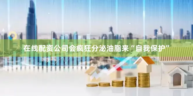 在线配资公司会疯狂分泌油脂来“自我保护”
